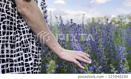 Female hand tenderly touching purple flowers at field. Woman moving her arm above blooming plants. Young girl strolling through floral meadow. Beautiful nature background. Close up Female hand tenderly touching purple flowers at field. Woman moving her arm above blooming plants. Young girl strolling through floral meadow. Beautiful nature background. Close up 123048280