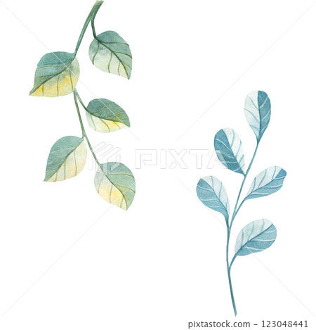 Leaves green blue watercolor seamless pattern illustration isolated white background. Hand drawn floral botanical painting. Congratulations, wedding, greeting, invitation card, print, decoration 123048441