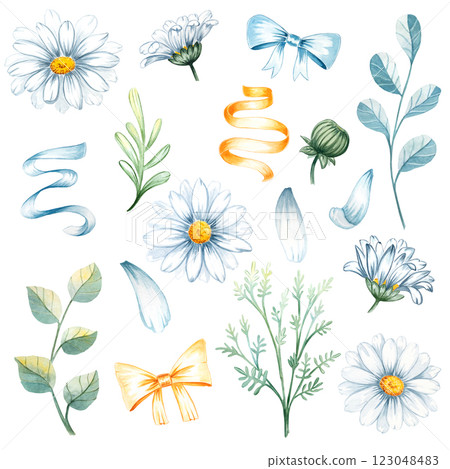 Chamomile, daisy, leaves, petal, bud watercolor set illustration isolated white background. Congratulations, wedding, greeting, invitation card, print, decoratation 123048483