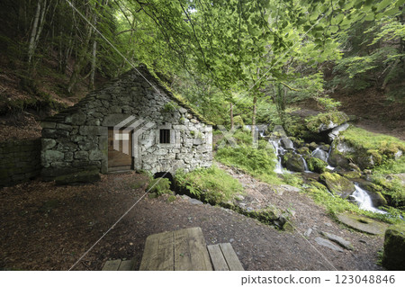 Water wheel mill (Moulin de Chambeuil), Laveissiere, Cantal, Auvergne-Rhone-Alpes, France 123048846