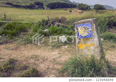Road sign totem with yellow shell, that guides pilgrims along the Camino de Santiago, Galicia, Spain 123048849