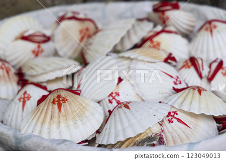 the symbol of the Way of St. James, the shell of St. Jacob 123049013