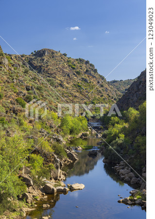 Parque Arqueologico Vale do Coa (Coa valley), UNESCO site, paleolithic rock art paintings, Northern Portugal, Portugal 123049023