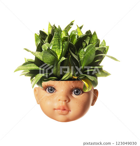 Conceptual art collage. Doll head with green leaves growing on top, symbolizing changing beauty standards where nature and artificial merge. Conceptual art collage. Doll head with green leaves growing on top, symbolizing changing beauty standards where nature and artificial merge. 123049030
