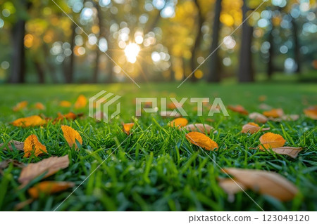 green grass scattered with golden autumn leaves across a bright park setting glowing sunlight background copyspace concept of environment travel design 123049120