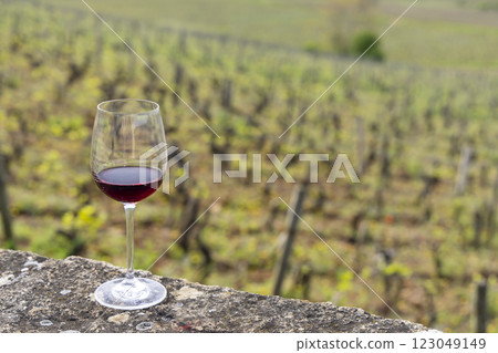 Glass of pinot noir red wine in early spring vineyards near Aloxe-Corton, Burgundy, France Glass of pinot noir red wine in early spring vineyards near Aloxe-Corton, Burgundy, France 123049149