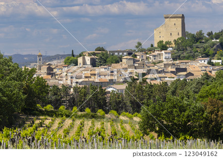 Typical vineyard with stones near Chateauneuf-du-Pape, Cotes du Rhone, France 123049162