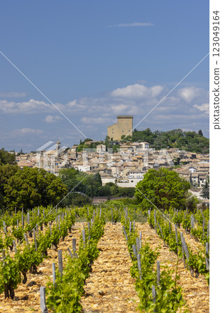 Typical vineyard with stones near Chateauneuf-du-Pape, Cotes du Rhone, France 123049164
