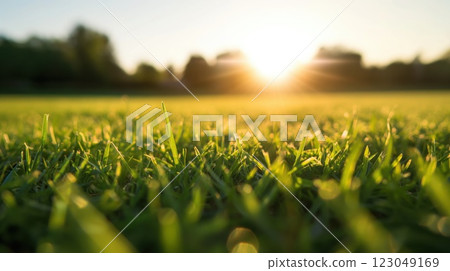 closeup of dew covered grass at sunrise creating a soft bokeh effect across lush green blades copyspace concept of gardening lawncare environment 123049169