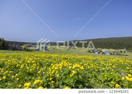 Spring landscape with Jizerka near Korenov, Northern Bohemia, Czech Republic 123049261