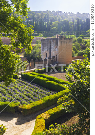 Alhambra, Generalife and Albayzin (Generalife y Albaicin de Granada), UNESCO site, Granada, Andalusia, Spain 123049310