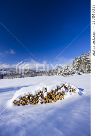 Typical winter landscape with logs wood near Modrava, Nation park Sumava, Czech Republic Typical winter landscape with logs wood near Modrava, Nation park Sumava, Czech Republic 123049315