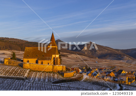 Typical vineyard near Hunawihr near Ribeauville Riquewihr, Haut-Rhin, Region Grand Est, Alsace, France 123049319
