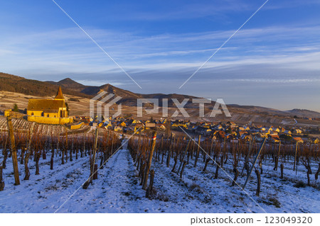 Typical vineyard near Hunawihr near Ribeauville Riquewihr, Haut-Rhin, Region Grand Est, Alsace, France Typical vineyard near Hunawihr near Ribeauville Riquewihr, Haut-Rhin, Region Grand Est, Alsace, France 123049320