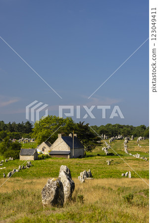 Standing stones (or menhirs) in Carnac, Morbihan, Brittany, France 123049411