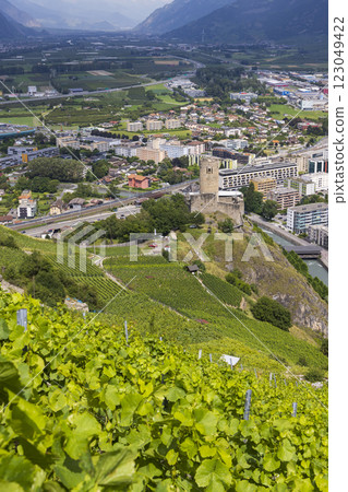 La Batiaz Castle with vineyards in Martigny, Canton of Valais, Switzerland La Batiaz Castle with vineyards in Martigny, Canton of Valais, Switzerland 123049422