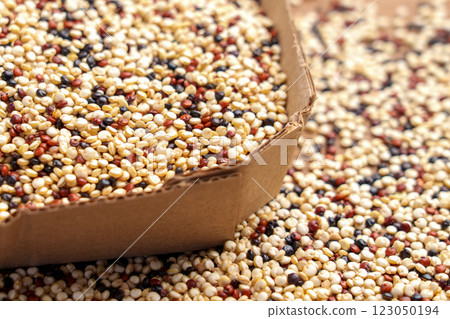 Cardboard box filled with dried mixed quinoa grains. Fresh nutritious pantry staple for balanced meals and plant-based recipes 123050194