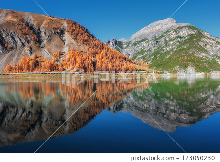 Lake with perfect reflection in water in alpine mountains. Autumn 123050230