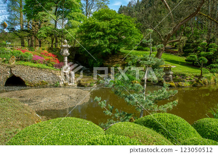 Amazing topiary spheres bushes (maybe rhododendron bushes) in  Japanese garden in Pays de la Loire 123050512