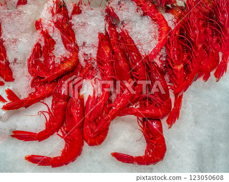 Local food market with fresh carabinero shrips, Murci, Spain 123050608