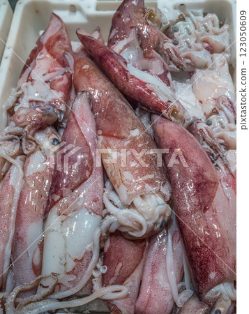 Fresh squids on a local food market, Murci, Spain 123050609