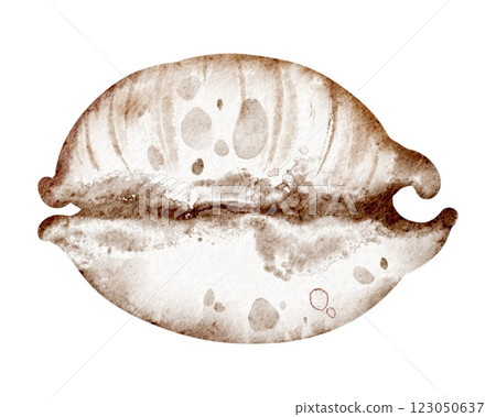 Watercolor icon seashell on isolated background 123050637