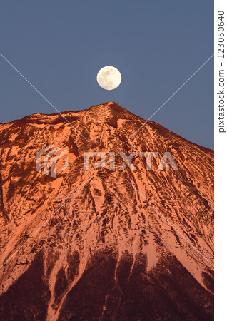 Red Fuji and the full moon as seen from Fujinomiya City, Shizuoka Prefecture (Pearl Fuji) 123050640