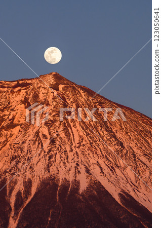 Red Fuji and the full moon as seen from Fujinomiya City, Shizuoka Prefecture (Pearl Fuji) 123050641