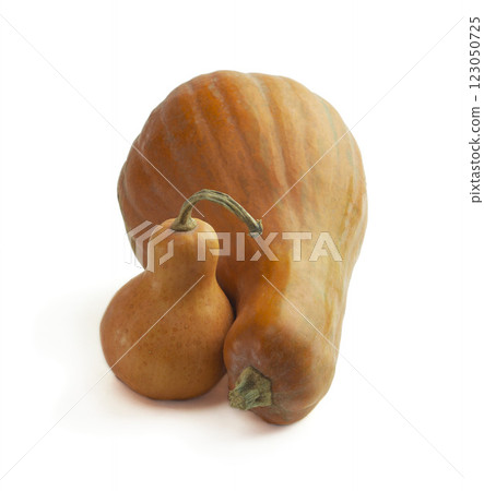 Ripe pumpkins isolated on white. Vegetarianism. Organic orange pumpkins and slices. Vitamins. Autumn. Healthy food. 123050725