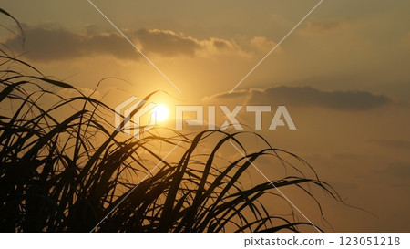 Sunrise on a sunny day 123051218