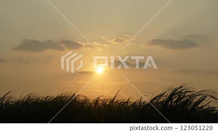 Dusk on a sunny day Dusk on a sunny day 123051220