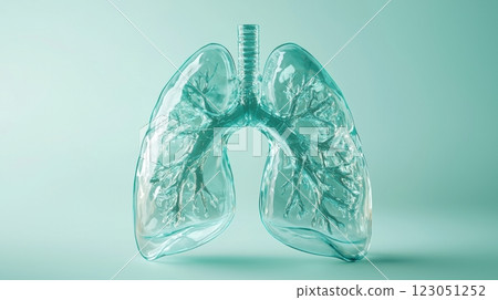 Glass lungs model showing bronchial tree structure on turquoise background 123051252