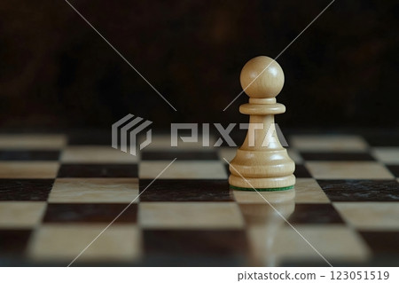 White pawn standing on chessboard represents new beginnings White pawn standing on chessboard represents new beginnings 123051519