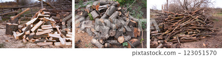 Pile of firewood with ax. Preparation for the winter in the village Pile of firewood with ax. Preparation for the winter in the village 123051570
