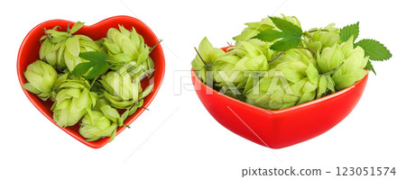 Hop cones in ceramic bowl isolated on white background. Beer brewing ingredients. Top view. Flat lay Hop cones in ceramic bowl isolated on white background. Beer brewing ingredients. Top view. Flat lay 123051574