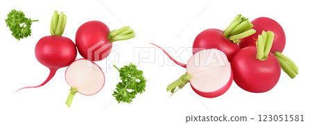 Radish with half isolated on white background. Top view. Flat lay Radish with half isolated on white background. Top view. Flat lay 123051581