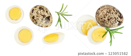 boiled quail egg isolated on white background with full depth of field. Top view. Flat lay 123051582