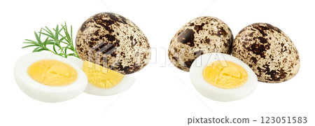 boiled quail egg isolated on white background with full depth of field 123051583