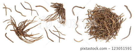 Dried Valerian root isolated on white background. Valeriana officinalis with full depth of field. Top view. Flat lay Dried Valerian root isolated on white background. Valeriana officinalis with full depth of field. Top view. Flat lay 123051591