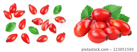 Rose hip isolated on a white background with full depth of field. Top view. Flat lay. Rose hip isolated on a white background with full depth of field. Top view. Flat lay. 123051593