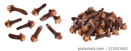 Dry spice cloves isolated on white background. Top view. Flat lay Dry spice cloves isolated on white background. Top view. Flat lay 123051601