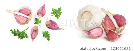 garlic with parsley leaves isolated on white background. Top view. Flat lay pattern 123051621