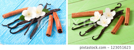 Vanilla sticks and cinnamon with flower and leaf on a blue wooden background Vanilla sticks and cinnamon with flower and leaf on a blue wooden background 123051623