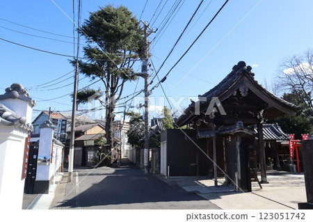 The streets of Yanaka Teramachi watched over by Himalayan cedars 123051742