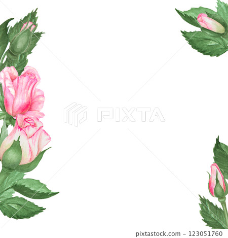 Hand-painted watercolor pink rose floral frame with green leaves on a transparent background. Perfect for wedding invitations, romantic designs, botanical themes and elegant stationery 123051760