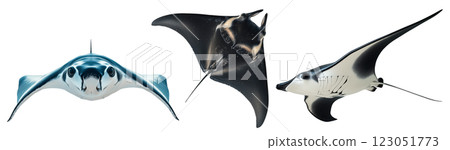 A set of blue and black manta rays isolated on a transparent background. Elegant marine creature with a smooth, streamlined body and elongated fins. 123051773
