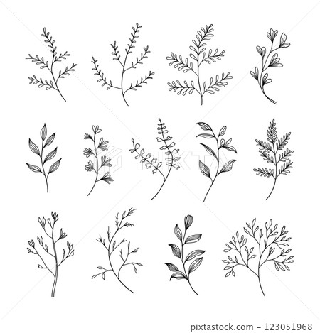 A collection of fine botanical sketches featuring various plant species. Perfect for logos, stationery, and minimalist compositions. 123051968