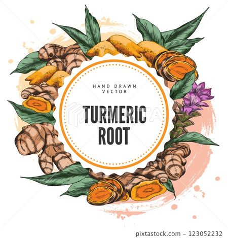 Turmeric plant flower and root, powder sketch round vector design, hand drawn Curcuma spice product, ginger condiment Turmeric plant flower and root, powder sketch round vector design, hand drawn Curcuma spice product, ginger condiment 123052232