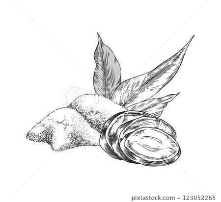 Turmeric leaves, root slices and dry powder heap engraved sketch, vector hand drawn Curcuma spicy spice ginger condiment 123052265