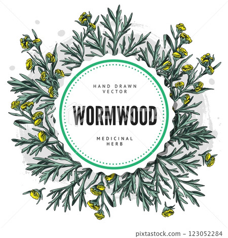 Wormwood plant sketch round label vector design, hand drawn branch, flowers and leaves, medicinal plant, Artemisia herb Wormwood plant sketch round label vector design, hand drawn branch, flowers and leaves, medicinal plant, Artemisia herb 123052284